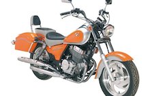 Clipic Custom Guepard 250