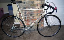 Colnago International