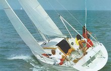 COMAR Comet 28 Race