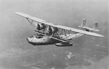 Consolidated P2Y