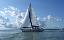 Coronado 41
