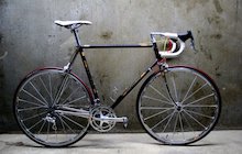 Daccordi 50th Anniversary