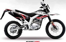 Dafier STF 125