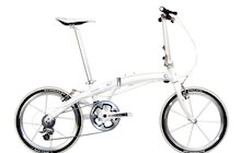 Dahon Mu XXV