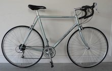 Diamondback Expert