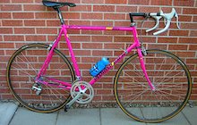 Diamondback Master TG