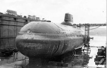 Dmitriy Donskoy (TK-208)