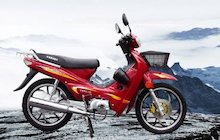 Dongfang Lingyun DF110-C