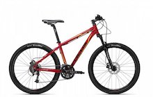 Focus Donna HT 2.0