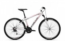Focus Donna HT 4.0