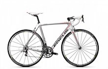 Focus Izalco Pro 2.0