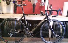 Fondriest Gold Magister
