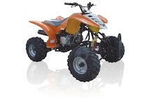 Fosti FT110 ATV