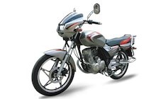 Fosti FT125-5