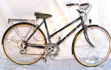 Free Spirit Greenbriar