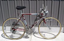 Free Spirit Ten Speed