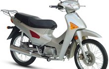 Giantco X 110