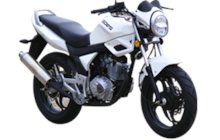 Goes SP R 125