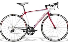 Halcyon Chronos
