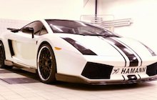 Hamann Gallardo SE