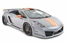 Hamann Gallardo