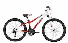 Haro Flightline 24