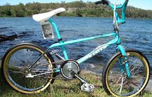 Haro Team Master