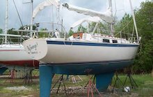 Hinterhoeller Niagara 31