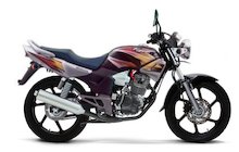 Honda Tiger 2000
