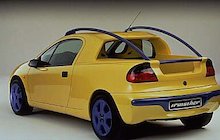 Irmscher Tigra