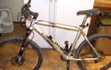 Iron Horse Rogue