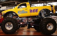 Killer Bee