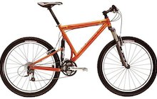 Klein Palomino Race