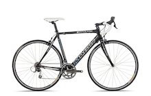 Marin Stelvio