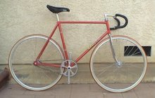 Masi Pista