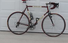 Mercian Professional