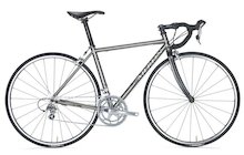 Merlin Camena
