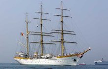 Mircea