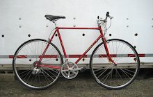 Miyata 210