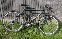 Mongoose Alta