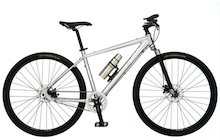 Mongoose Sabrosa