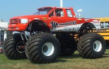 Mongoose