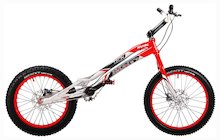 Monty 221 Kamel
