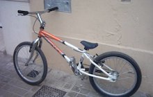 Monty X-Stam