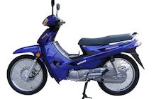 Nipponia Evolution 110