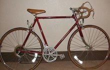 Nishiki Custom Sport