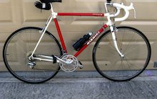 Nishiki International