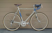 Nishiki Professional