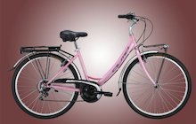 Olmo California 26 7V
