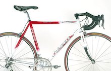 Olmo Millenium